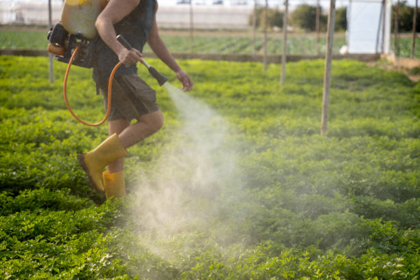 Professional Pest Control in Hypoluxo, FL