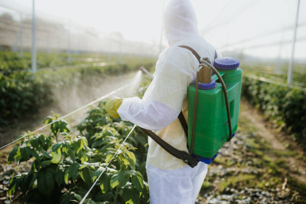 Best Pest Removal Services  in Hypoluxo, FL